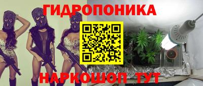 шишки Бугуруслан