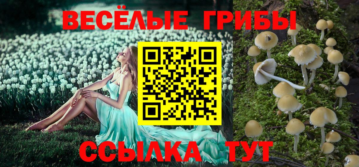 Галлюциногенные грибы прущие грибы Соль-Илецк