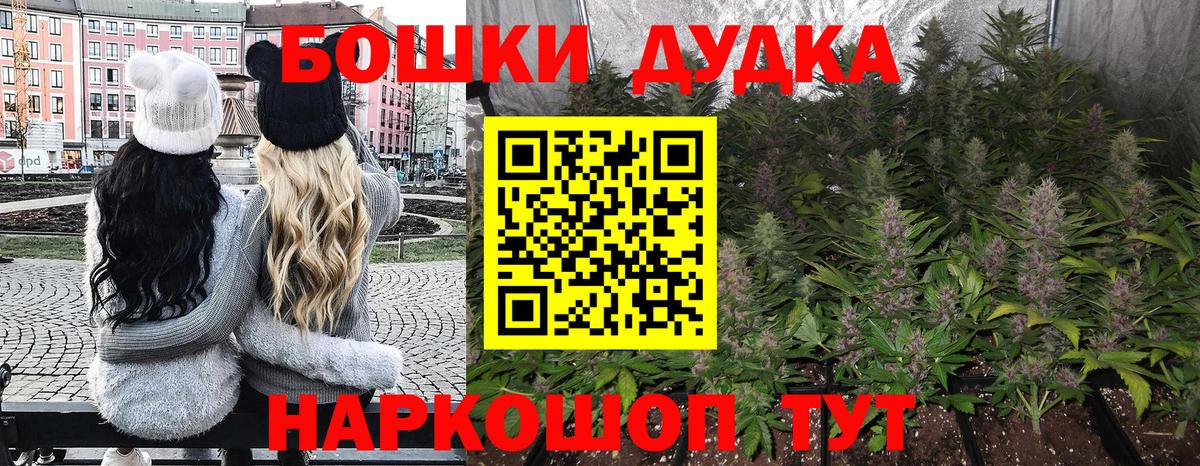Бошки марихуана THC 21% Соль-Илецк